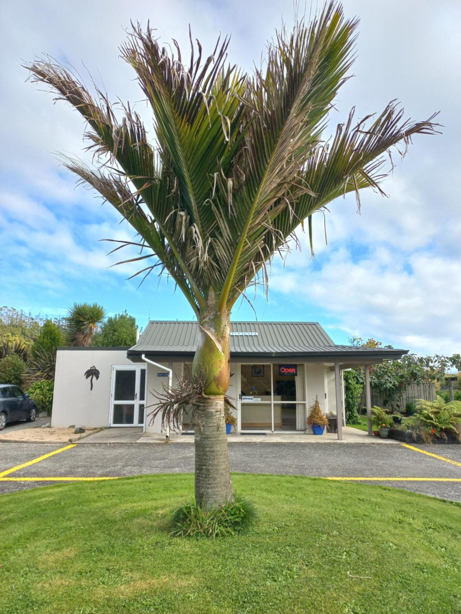 Karamea River Motels Exterior photo